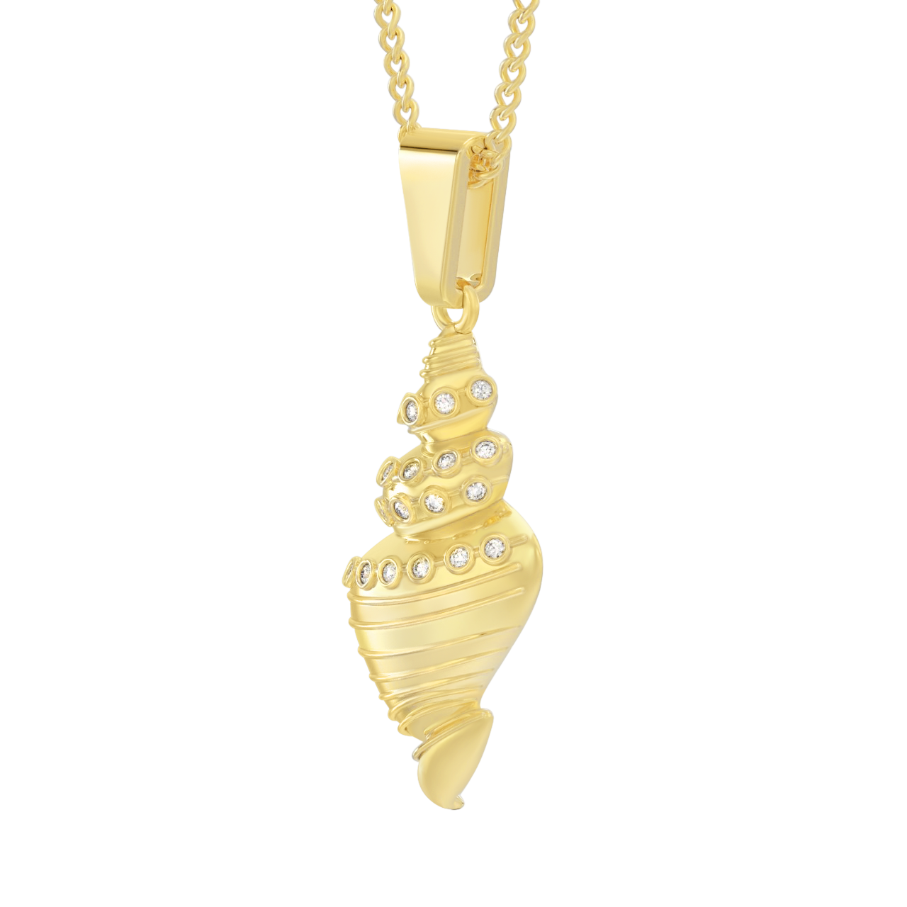 tulip shell necklace